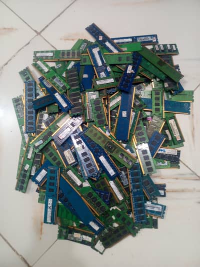 Dead Rams Buyer Karachi 300/200