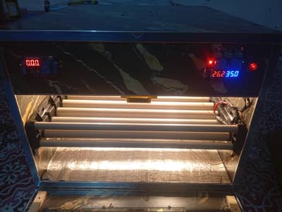 Eggs Hatching Incubator ac and dc dualانڈوں سے چوزے نکلا لنے والی مشین