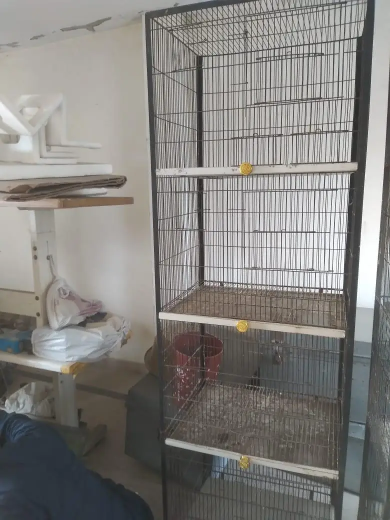2 cage Hain condition perfect Hai a1500 size 2by 6