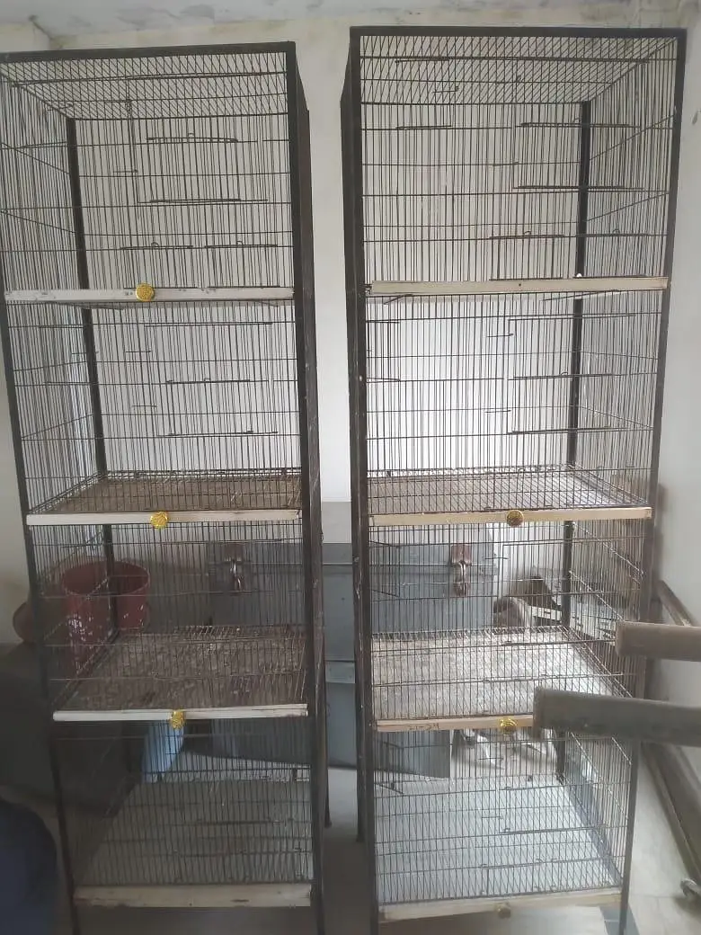 2 cage Hain condition perfect Hai a1500 size 2by 6 — photo 2