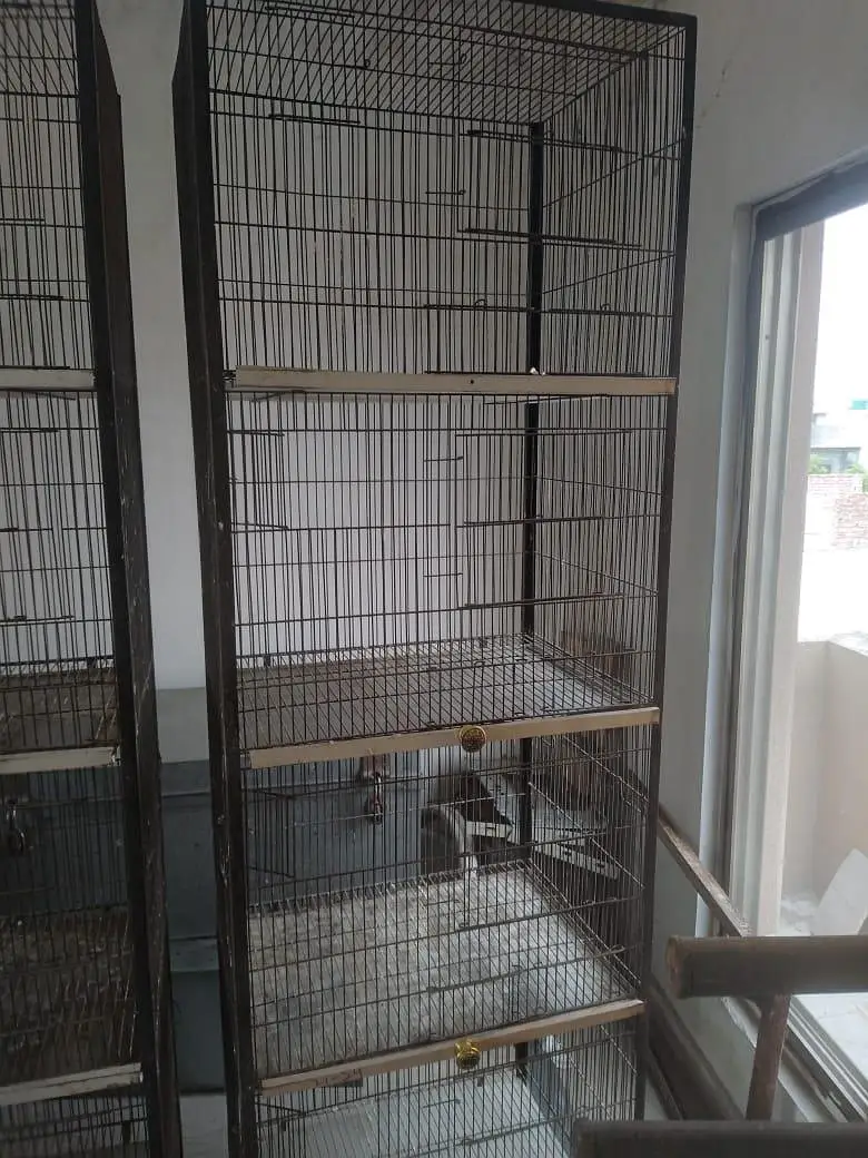 2 cage Hain condition perfect Hai a1500 size 2by 6 — photo 3