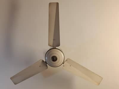 Ceiling Fan (Yunus fan)
