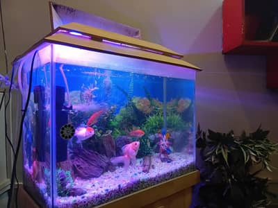 i am selling my aqurium 3 month used