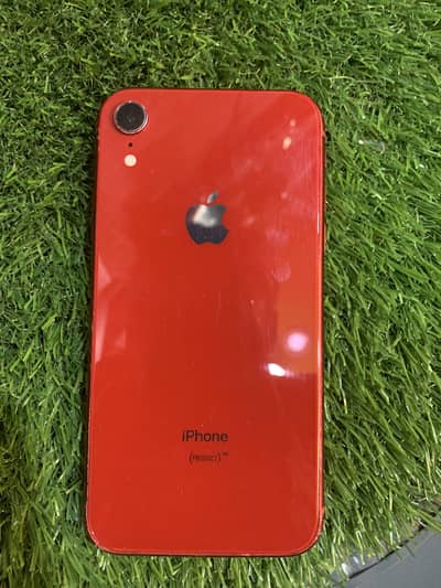 iPhone XR