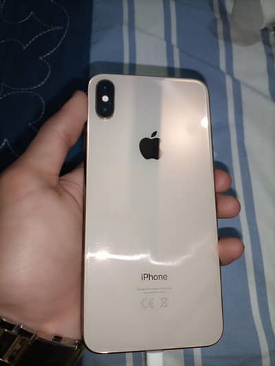 XS Max