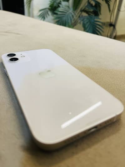 IPHONE 12 PTA APPROVED