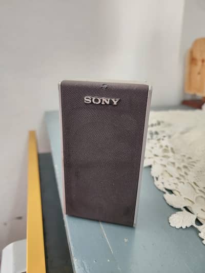 Sony SS-TS51 surround sound speaker.