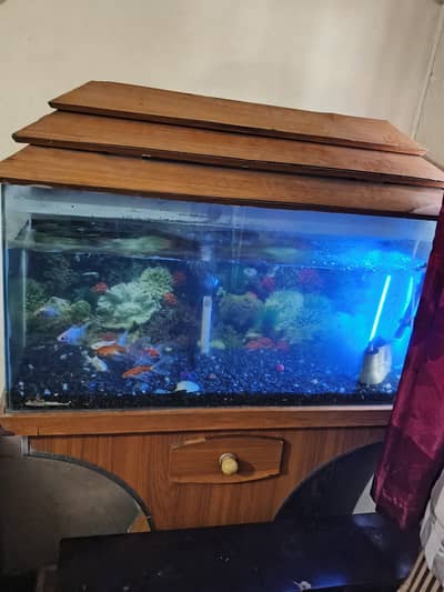 FISH AQUARIUM