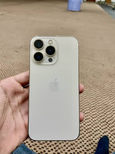 Iphone 13 pro Gold colour up for grab!
