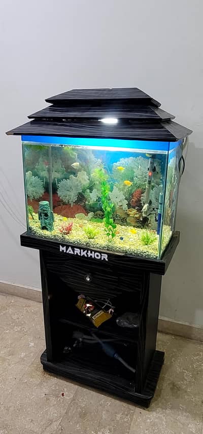 Aquarium for sale with fishes