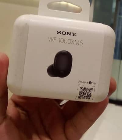 Sony XM6 Buds WF-1000XM6
