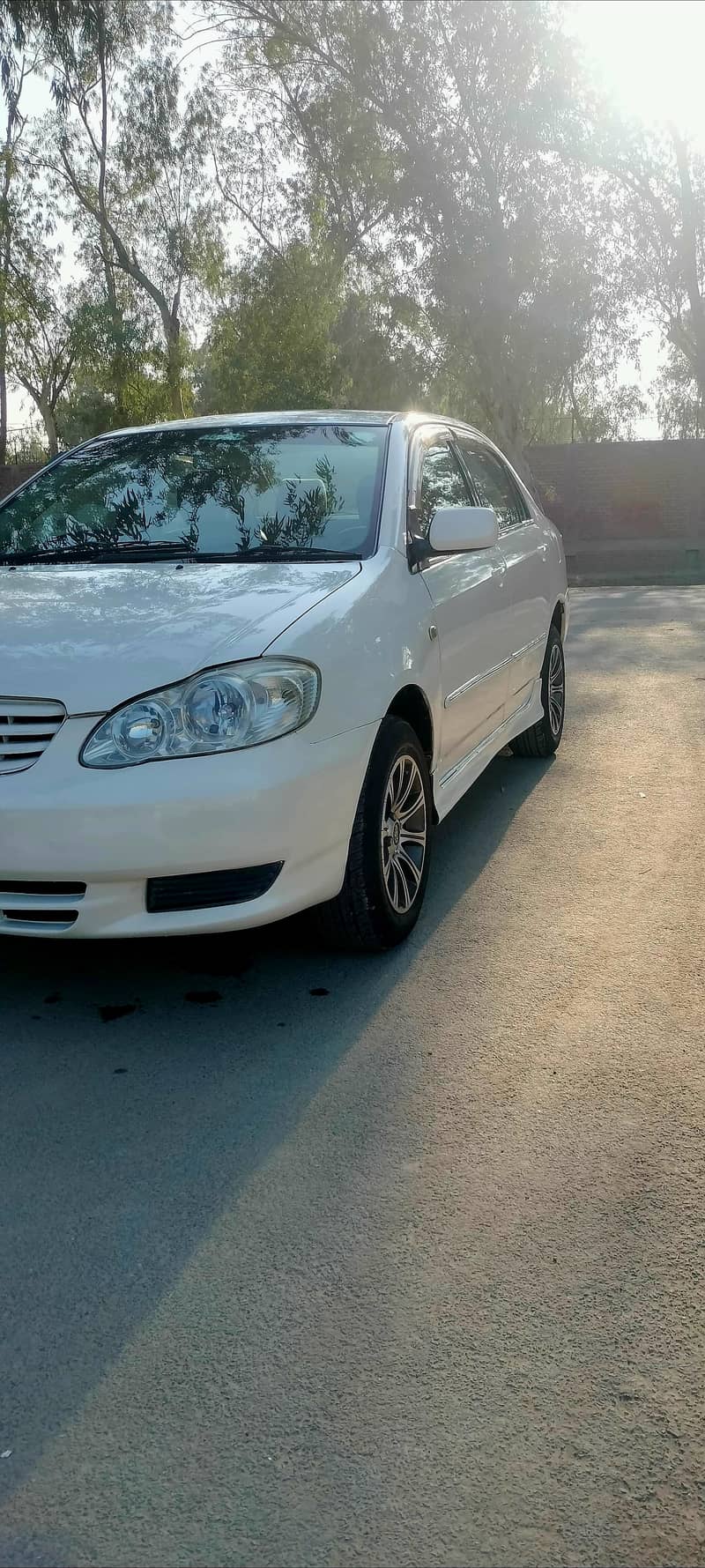 Se Seloon AutoMatic 0