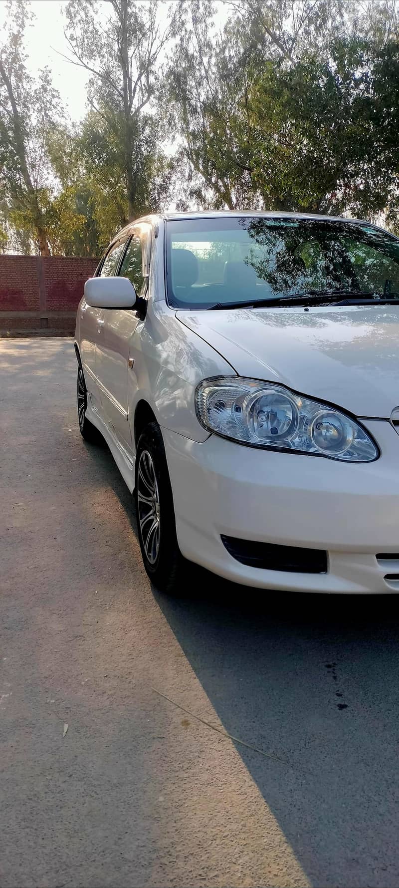 Se Seloon AutoMatic 1