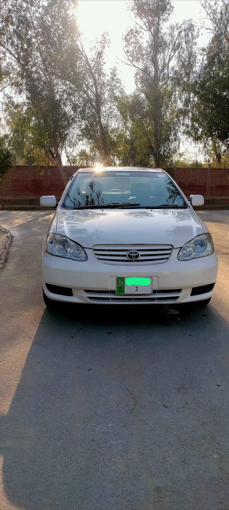 Se Seloon AutoMatic 2