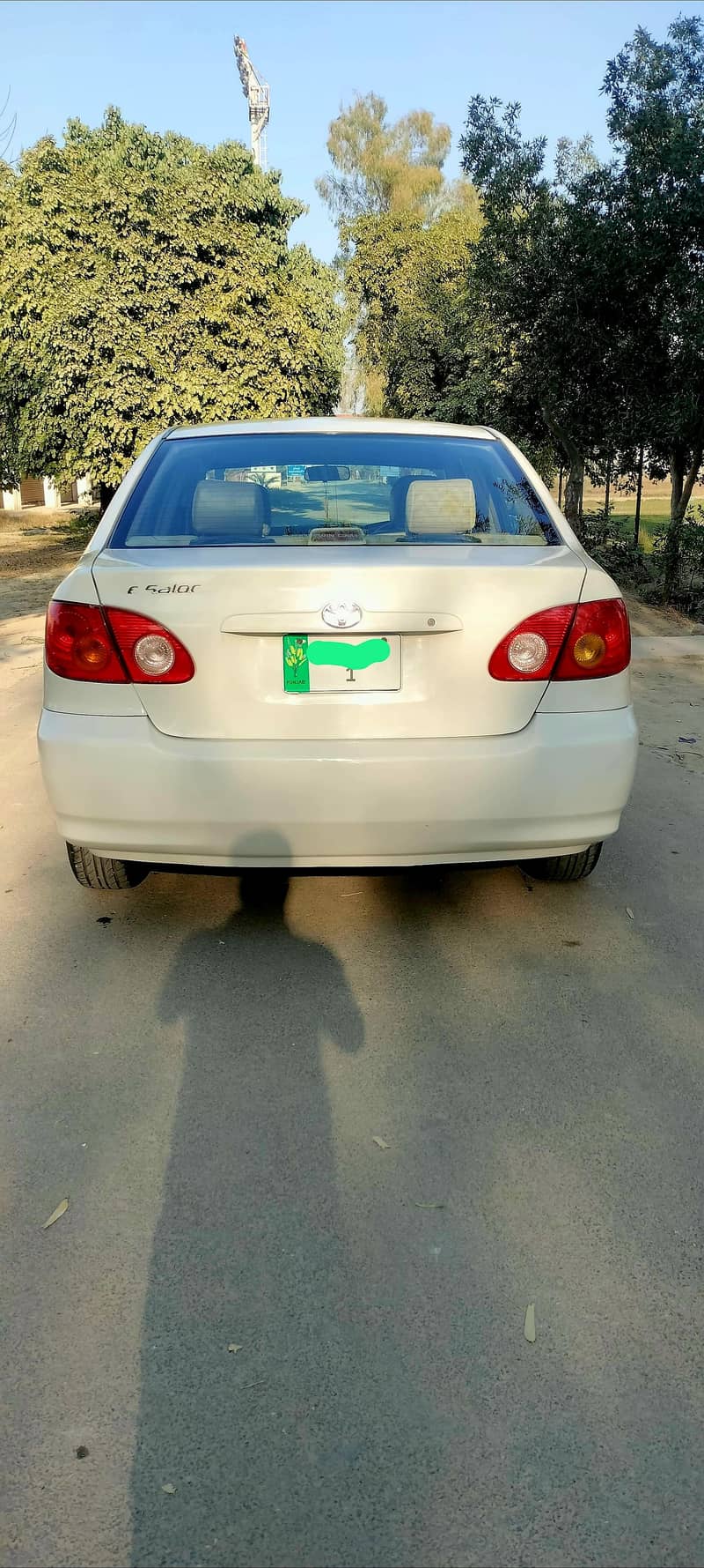 Se Seloon AutoMatic 5