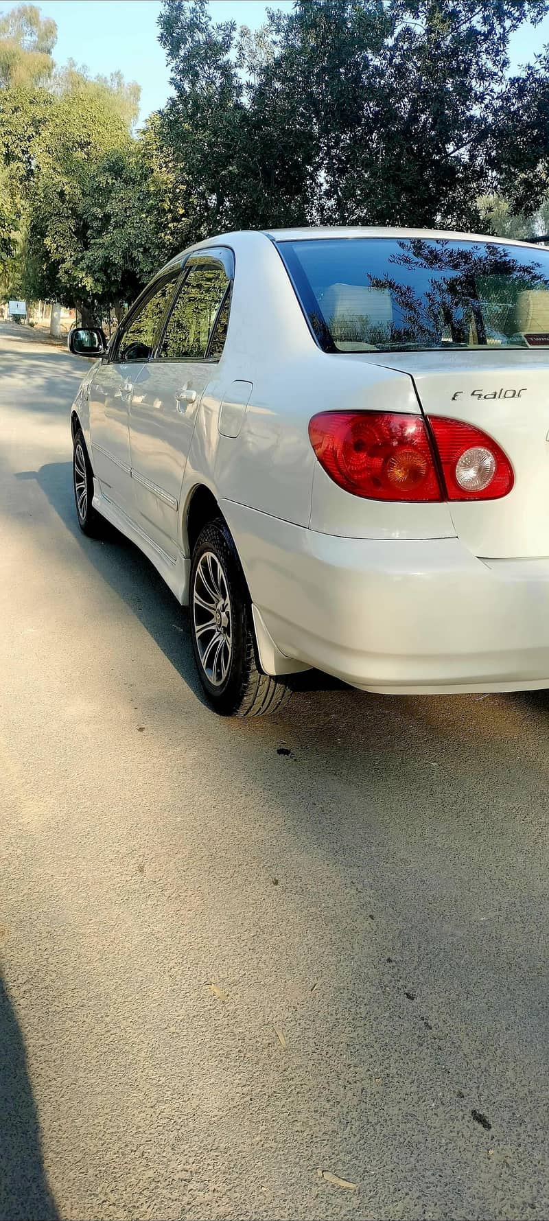 Se Seloon AutoMatic 6