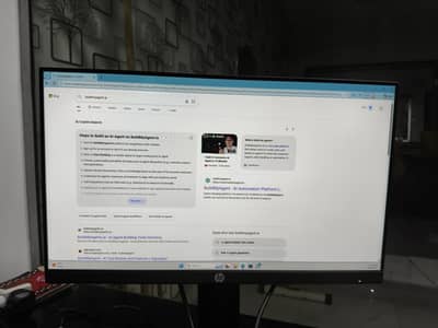 HP 24" Monitor (Model P24H G4]