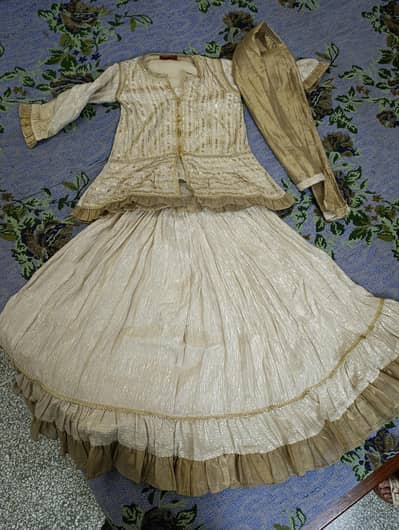Fancy Dress Lehanga (6-9 Yr)