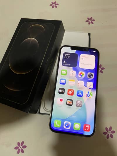 Apple iphone 12 pro max pta approved 256gb