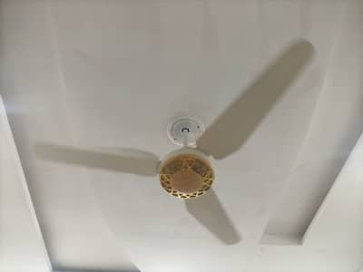 3 fans only 1 season used like brand new pure coper moter