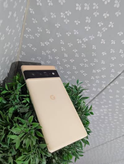 Google Pixel 6 pro Official PTA Approved