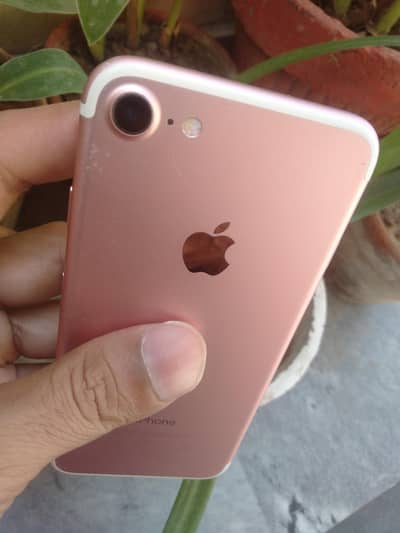 fazol msg na krain price fainal ha na time waste krain