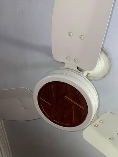 2 ceiling fan royal for sale