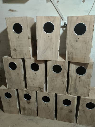 Birds breeding box