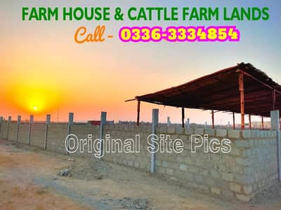 Farm house plot