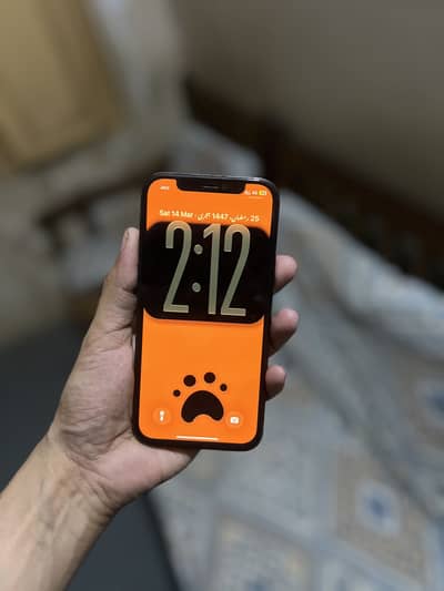 12 pro all ok doul sim physical approved