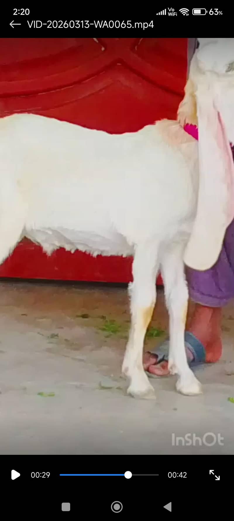 Bakri 5