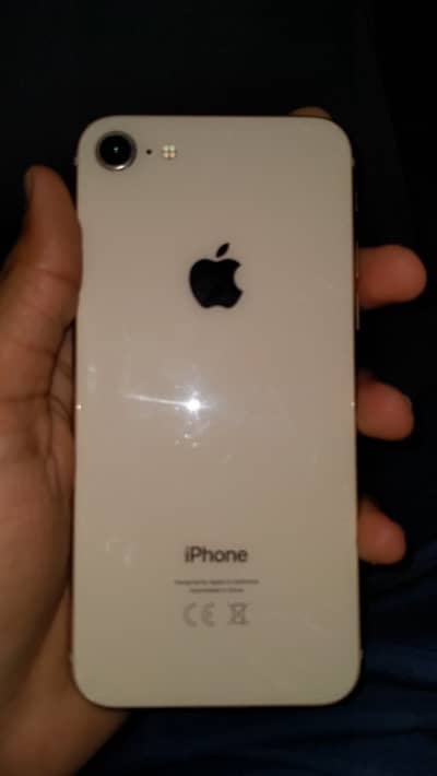 iPhone 8 PTA approved