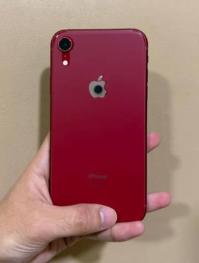 IPHONE XR  Pta Approved  128gb