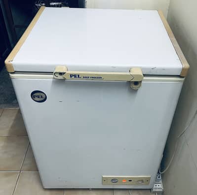 Pel Deep Freezer Single Door for Sale