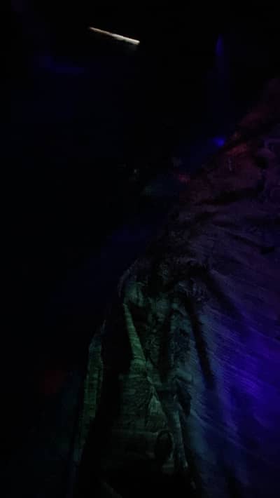 Drain cleaner-jamadar