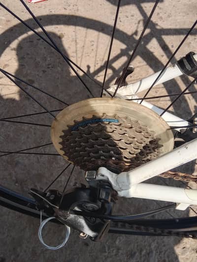 urgent sale for cycle