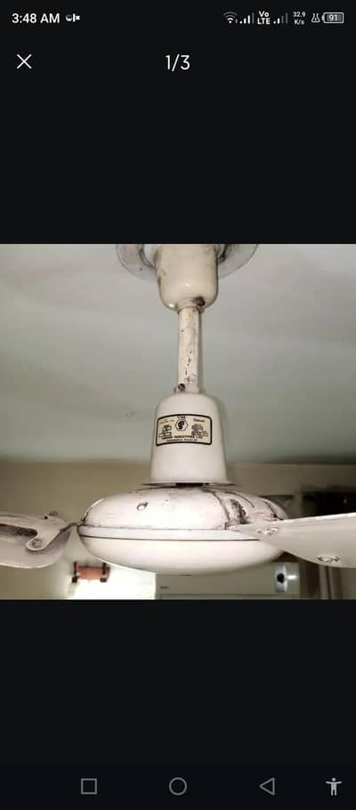 Asia Ceiling fans 56in