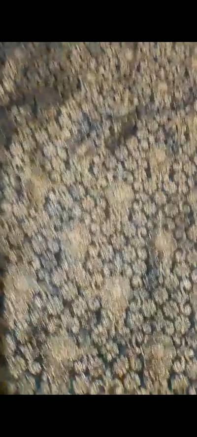 urgent sale only 2 times  used