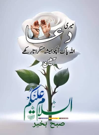 electro lux DC inverter AC cooling and heating for sale