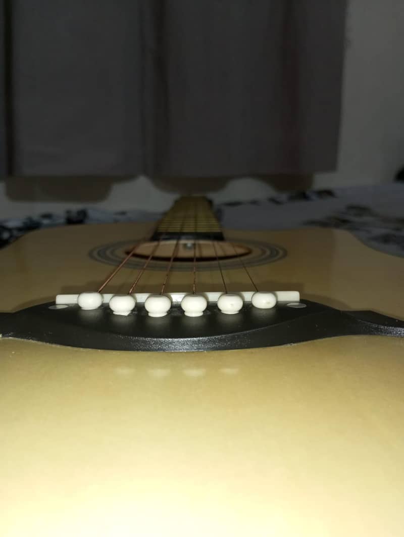 guiter 2