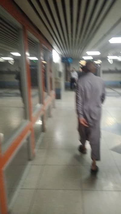 need lady baby sitter