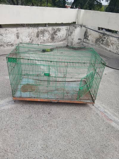 parrot cage for sale