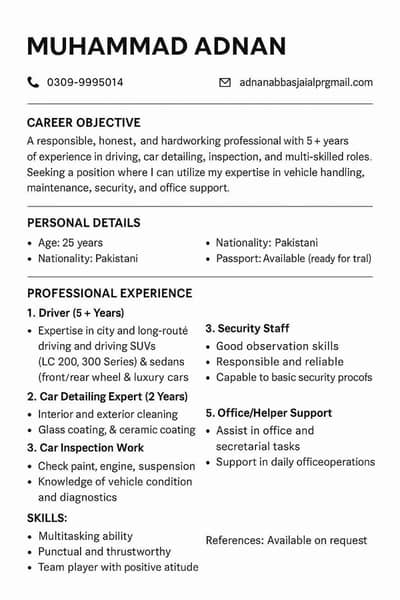 perfect car driver car detaling expert car inspection expert