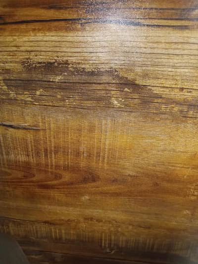 company main job open Hain