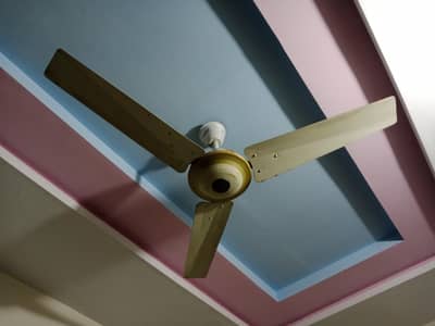 khurshid and GFC  fans