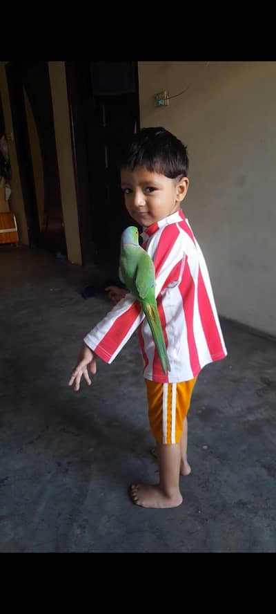 hath pr any wala mitho