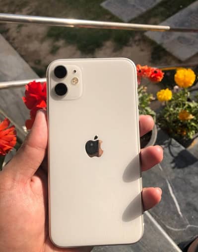 iPhone 11 Non PTA