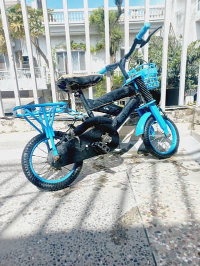 Kids Bicycle (4 to 6 years)