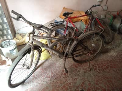 Bicycle for sale