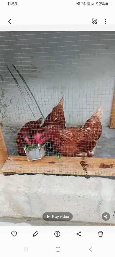 Whole setup for sale hole sale price